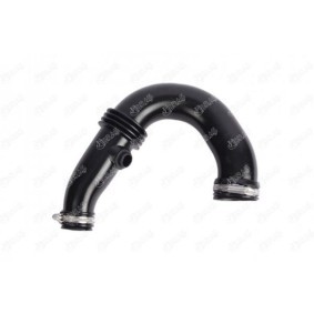 Acquista Tubo aspirazione filtro aria da IBRAS 11731 a buon mercato per soli 105,79 €