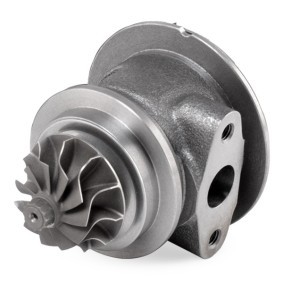 Rumpfgruppe Turbolader 4973C0028 FIAT von RIDEX