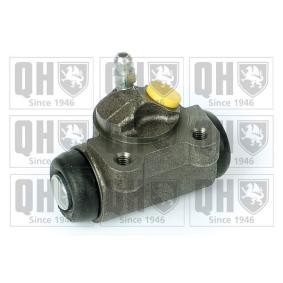 Comprar Cilindro de freno de rueda de QUINTON HAZELL BWC3171 a bajo precio de 33,83 €