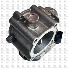 Compre Corpo de borboleta da QUINTON HAZELL XPOT623 a um preço baixo por 156,29 €