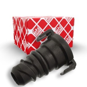 Acquista Tappo filettato, Scatola cambio da FEBI BILSTEIN 106558 a buon mercato per soli 6,63 €