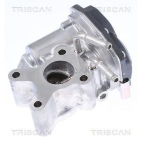 Acquista Valvola EGR da TRISCAN 8813 14015 a buon mercato per soli 588,47 €