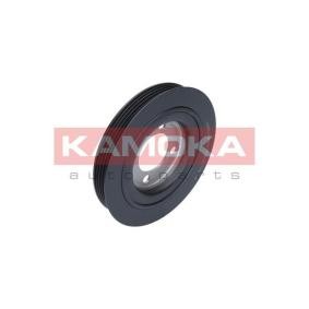 Achetez des Poulie damper de chez KAMOKA en ligne pour Saxo 3/5 portes (S0, S1) à prix modérés