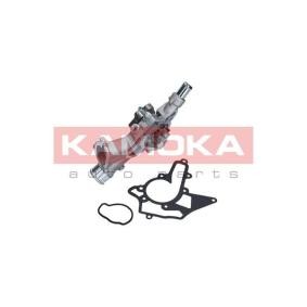 Achetez des Pompe à eau KAMOKA T0280 à prix pour 43,17 €
