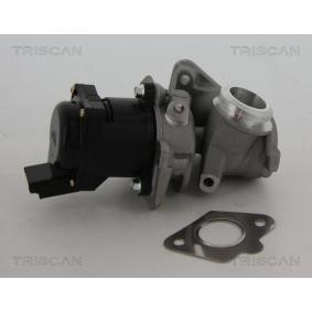 Acquista Valvola EGR da KAWE 8813 10010 a buon mercato per soli 199,47 €