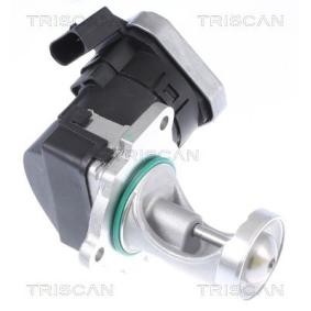 Acquista Valvola EGR da KAWE 8813 29043 a buon mercato per soli 294,63 €