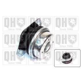 Acquista Supporto motore da QUINTON HAZELL EM2518 a buon mercato per soli 44,13 €