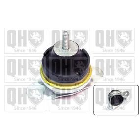 Acquista Supporto motore da QUINTON HAZELL EM4219 a buon mercato per soli 44,56 €