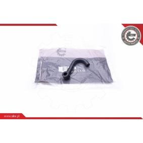 Compre Tubo flexível do óleo da ESEN SKV 31SKV125 a um preço baixo por 15,27 €