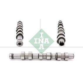 Acquista Albero a camme da INA 428 0171 10 a buon mercato per soli 238,09 €