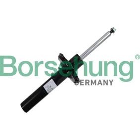 Stoßdämpfer des Herstellers Borsehung - Originalware Artikelnummer: B19083