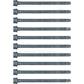 Compre Jogo de parafusos da cabeça do motor da REINZ 14-17428-01 a um preço baixo por 22,33 €