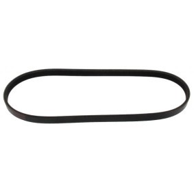 Acquista Cinghia servizi da MAPCO 240753E a buon mercato per soli 6,58 €