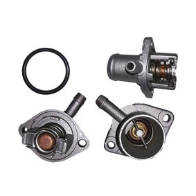 Achetez des Boîtier du thermostat BUGIAD BMC19227 à prix pour 19,55 €