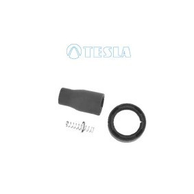 Compre Ficha, vela de ignição da TESLA CP090 a um preço baixo por 10,27 €