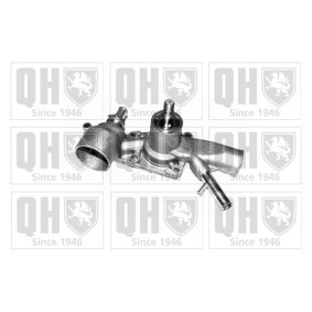 Wasserpumpe von QUINTON HAZELL QCP1187