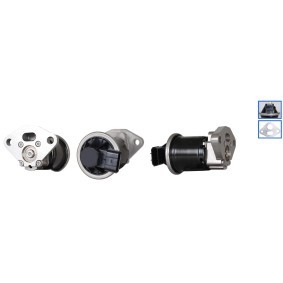 Acquista Valvola EGR da DRI 717720387 a buon mercato per soli 397,33 €
