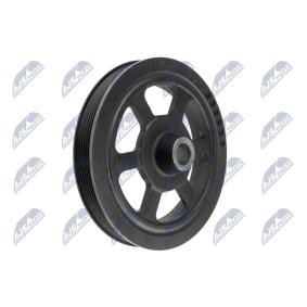 Achetez des Poulie damper (vilebrequin) NTY RKP-CH-012 à prix pour 81,05 €