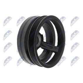 Achetez des Poulie damper (vilebrequin) NTY RKP-CH-020 à prix pour 88,18 €