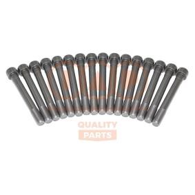 Acquista Kit bulloni testata da IAP QUALITY PARTS 119-12040 a buon mercato per soli 115,55 €