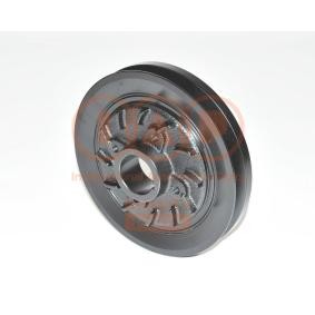 Achetez des Poulie damper (vilebrequin) IAP QUALITY PARTS 132-12010 à prix pour 151,28 €