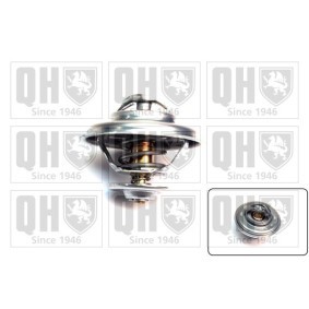 Achetez des Thermostat d'eau QUINTON HAZELL QTH132 à prix pour 7,67 €
