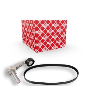 Acquista Kit Cinghie Poly-V da FEBI BILSTEIN 107424 a buon mercato per soli 63,57 €