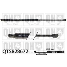 Heckklappendämpfer QTS828672