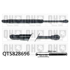 Achetez des Vérin de coffre QUINTON HAZELL QTS828696 à prix pour 34,24 €