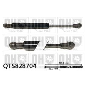 Achetez des Vérin de coffre QUINTON HAZELL QTS828704 à prix pour 40,92 €
