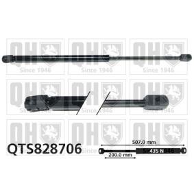 Achetez des Vérin de coffre QUINTON HAZELL QTS828706 à prix pour 62,95 €
