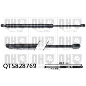 Achetez des Vérin de coffre QUINTON HAZELL QTS828769 à prix pour 50,32 €