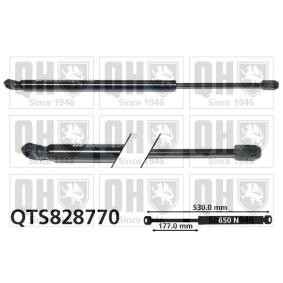 Achetez des Vérin de coffre QUINTON HAZELL QTS828770 à prix pour 62,36 €