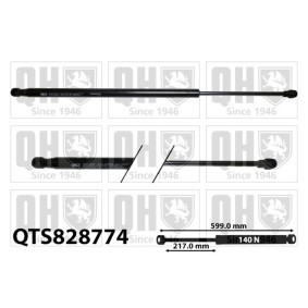 Achetez des Vérin de coffre QUINTON HAZELL QTS828774 à prix pour 55,81 €