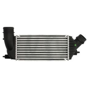 Acquista Intercooler da THERMOTEC DAC011TT a buon mercato per soli 136,97 €