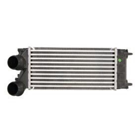 Köp Intercooler av THERMOTEC DAC012TT till det låga priset 1157,74 kr