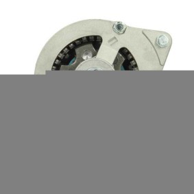 Lichtmaschine von BV PSH