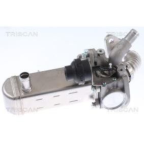 AGR Kühler 8813 14031 NISSAN CABSTAR E von TRISCAN