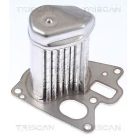 Acquista Radiatore EGR da TRISCAN 8813 24107 a buon mercato per soli 299,26 €