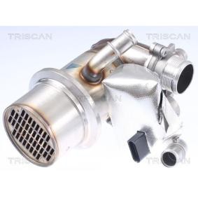 Acquista Valvola EGR da TRISCAN 8813 29337 a buon mercato per soli 386,44 €
