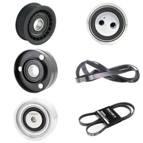 Acquista Kit Cinghie Poly-V da RIDEX 542R0103 a buon mercato per soli 90,28 €