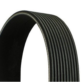 Compre Correia trapezoidal estriada da CONTITECH 10PK1114 a um preço baixo por 20,11 €