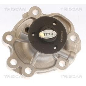 Comprar Bomba de agua de TRISCAN 8600 69014 a bajo precio de 73,18 €
