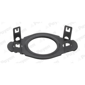 Acquista Guarnizione, Condotto valvola-AGR da PAYEN KK5745 a buon mercato per soli 6,06 €