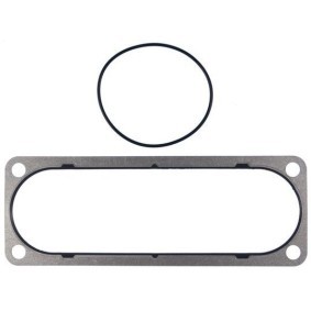 Comprar Juego de juntas, colector de admisión de MAHLE ORIGINAL MS19750 a bajo precio de 35,49 €