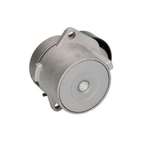 Acquista Tenditore cinghia servizi da BTA E3P0004BTA a buon mercato per soli 48,82 €
