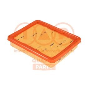 Luftfilter des Herstellers IAP QUALITY PARTS - Originalware Artikelnummer: 121-07050G