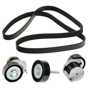 Achetez des Jeu de courroies trapézoïdales à nervures RIDEX 542R0281 à prix pour 62,59 €