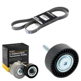Achetez des Jeu de courroies trapézoïdales à nervures RIDEX 542R0291 à prix pour 85,80 €