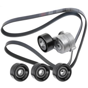 Compre Jogo de correias trapezoidais estriadas da RIDEX 542R0414 a um preço baixo por 122,52 €
